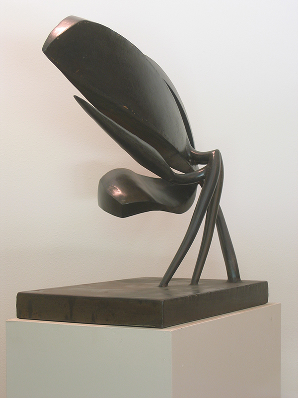 Wasp
